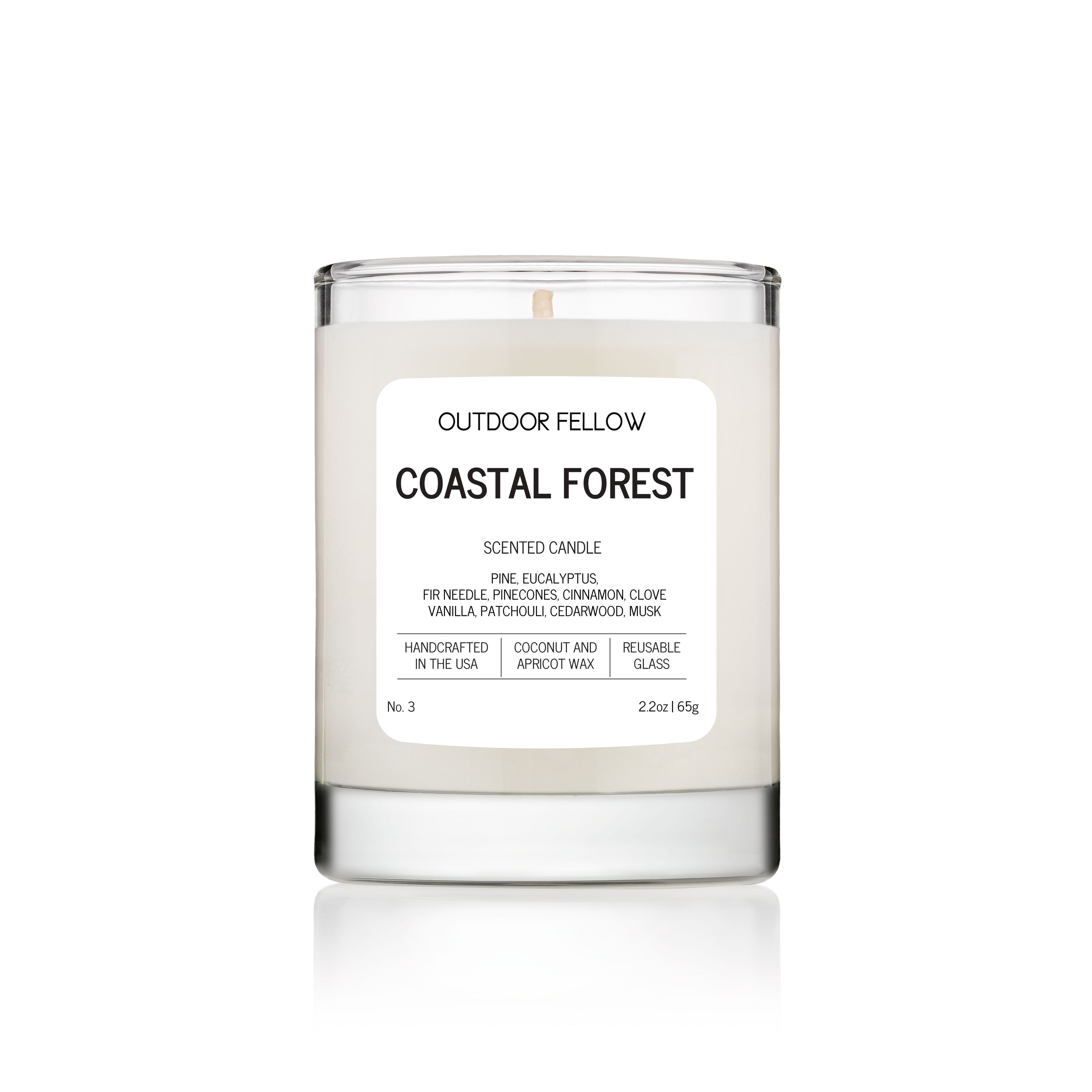 Coastal Forest 2.2oz scented candle