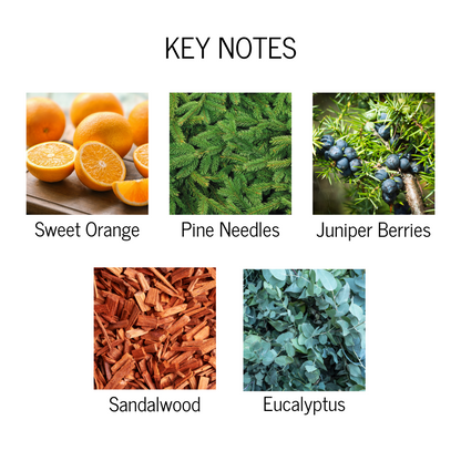 Key notes of sweet orange, pine needles, juniper berries, sandalwood and eucalyptus