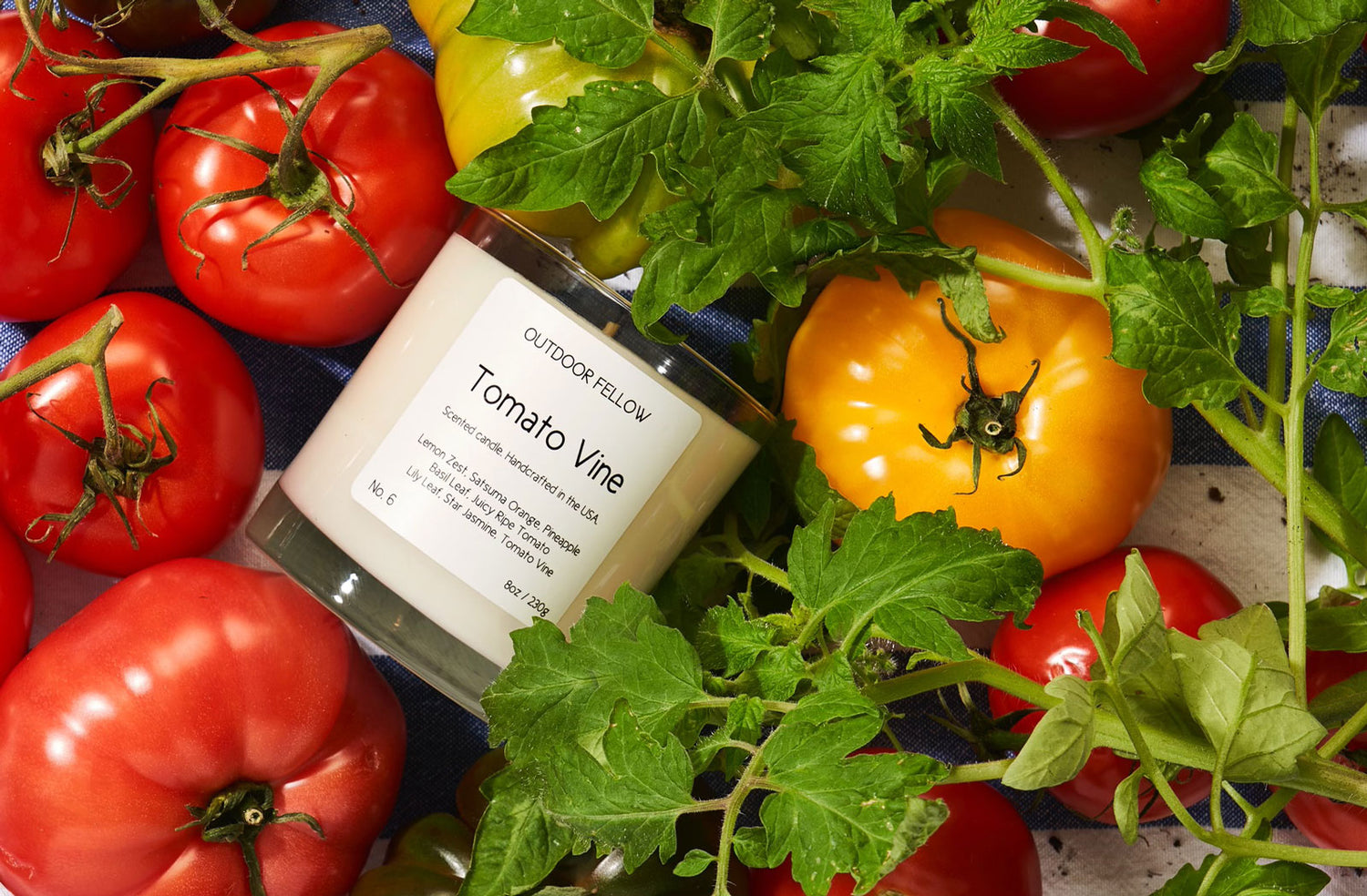 Tomato Vine candle surrounded by ripe tomatoes and tomato vines