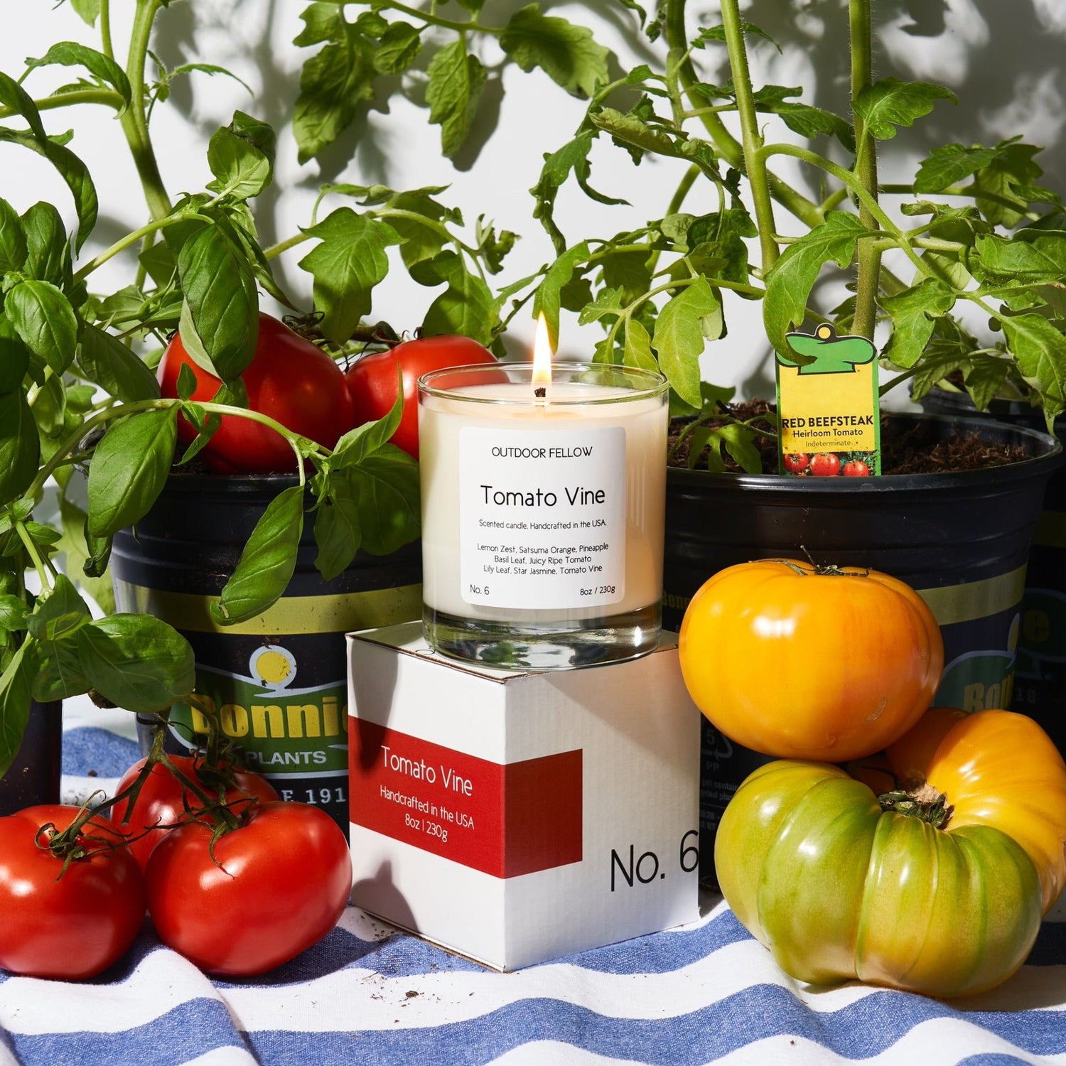 Tomato Vine scented candle surrounded by tomatoes and tomato plants