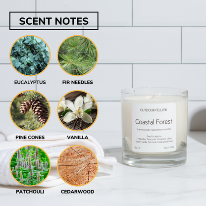 Coastal Forest scent notes include eucalyptus, fir needles, pine cones, vanilla, patchouli and cedarwood