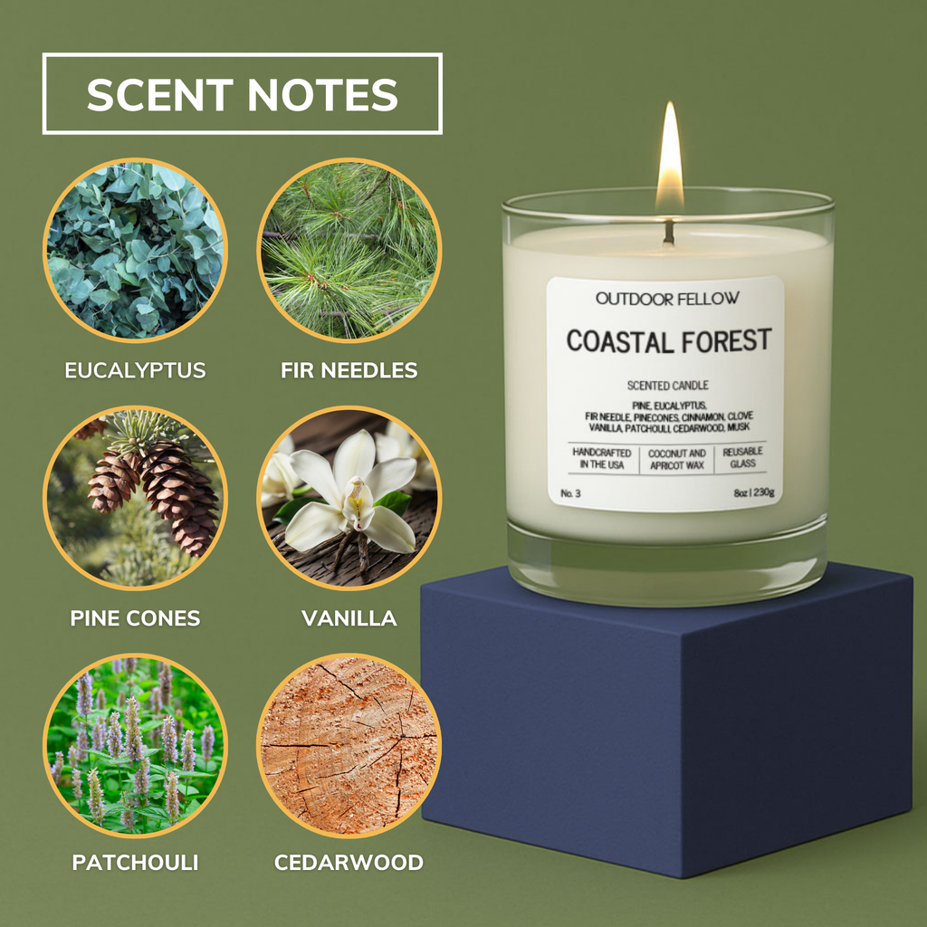 Candle labeled 'Coastal Forest' with scented notes displayed on a green background
