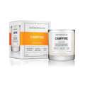 Campfire scented candle with carton