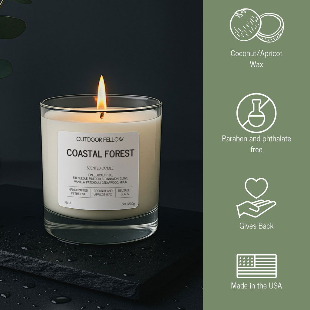 Coastal Forest candle infographic that lists out coconut and apricot wax, paraben and pthalate free, gives back and made in the USA