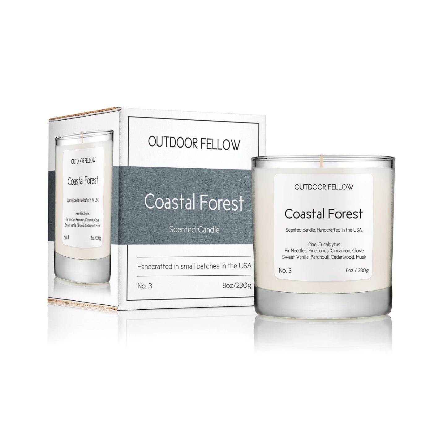 Coastal Forest scented candle next to packaging on white background