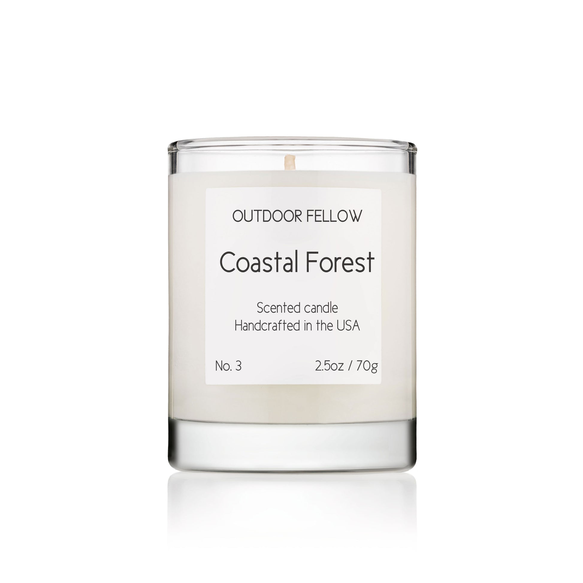 2.5oz Coastal Forest Scented Candle