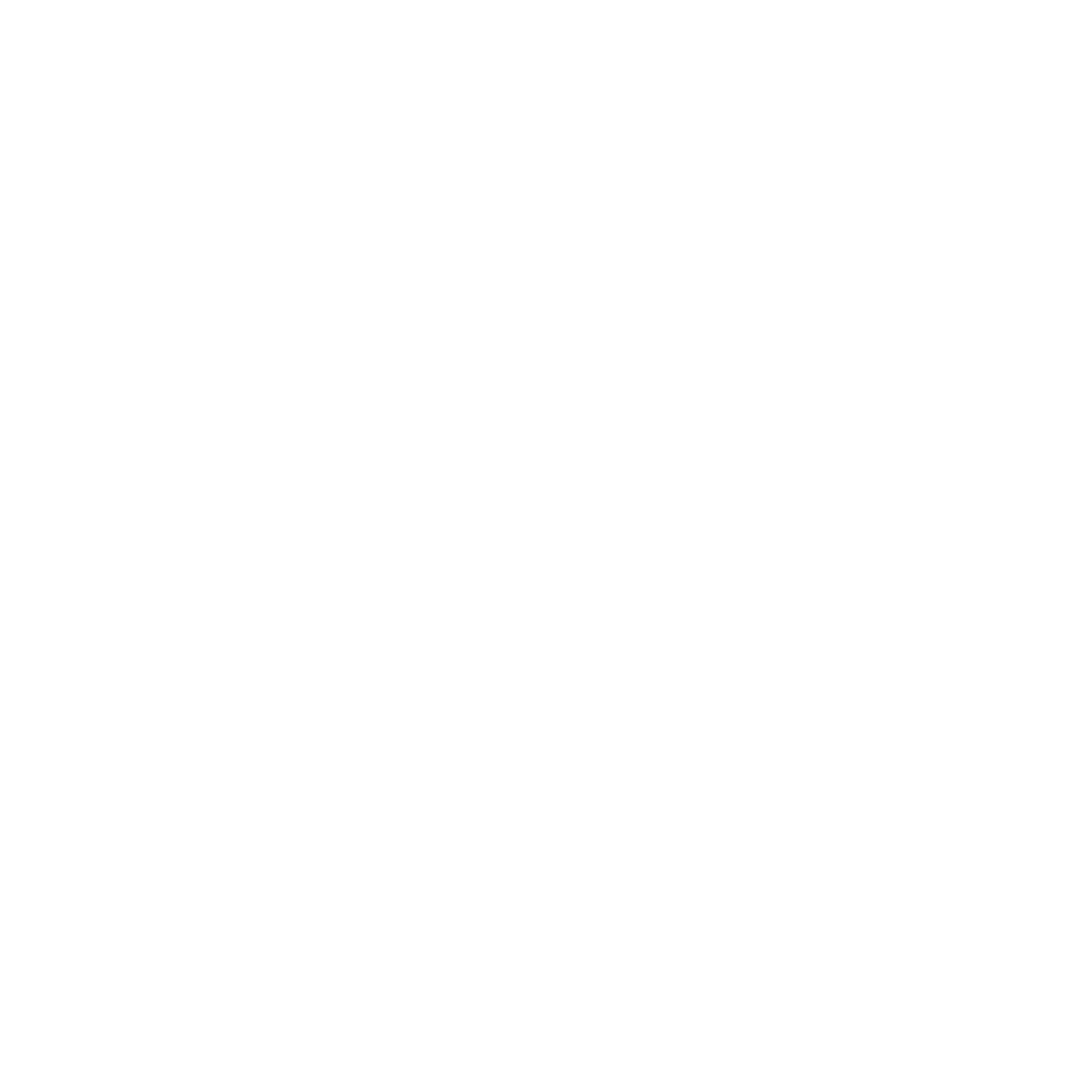 Fast shipping