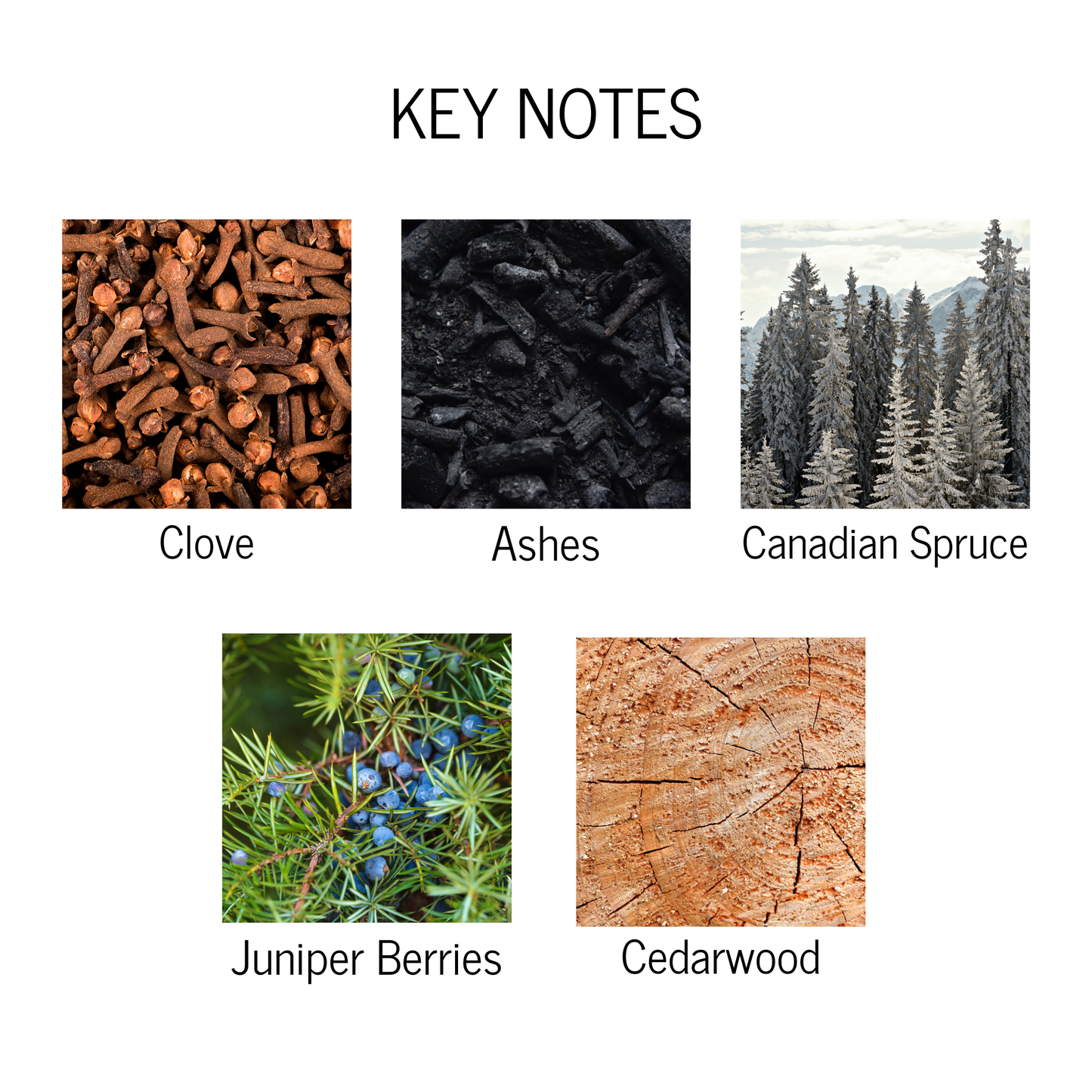 Key notes of clove, ashes, Canadian spruce, juniper berries and cedarwood.