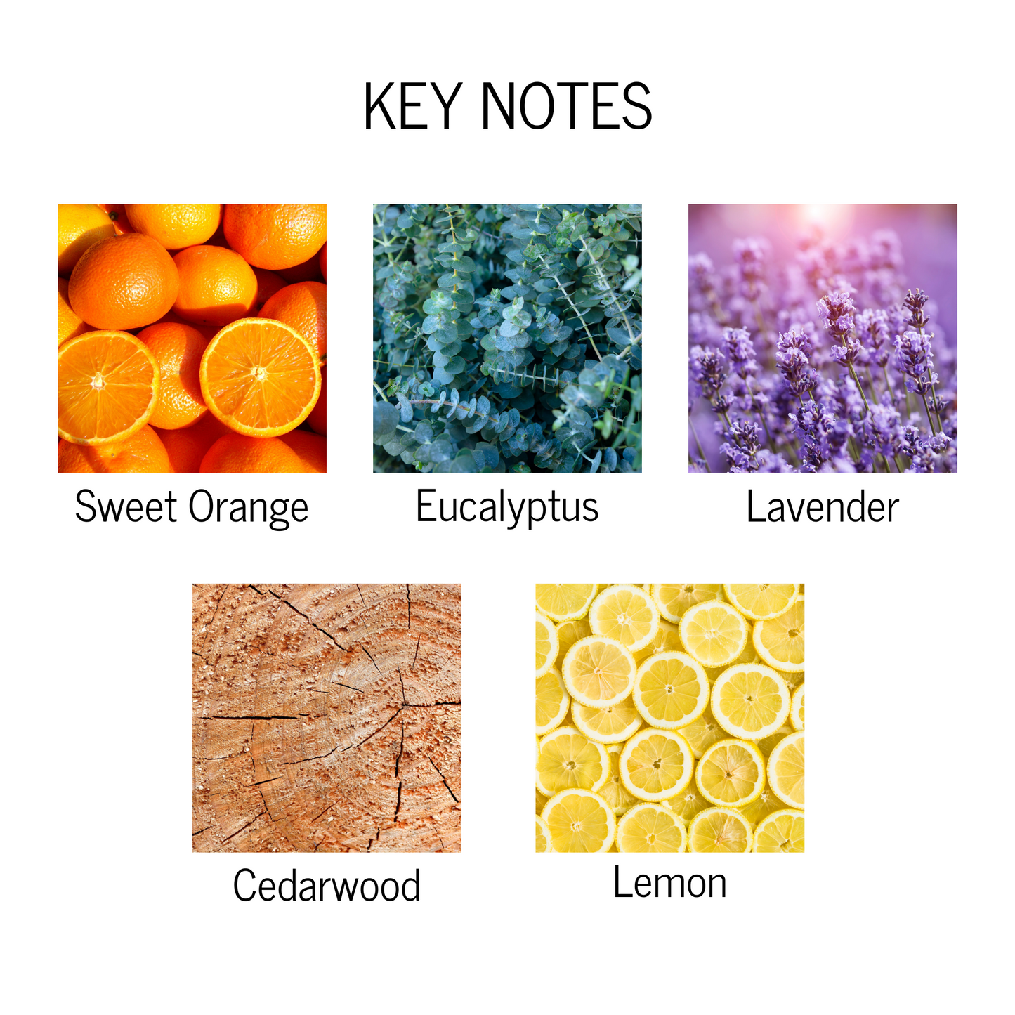 Key notes of sweet orange, eucalyptus, lavender, cedarwood and lemon.