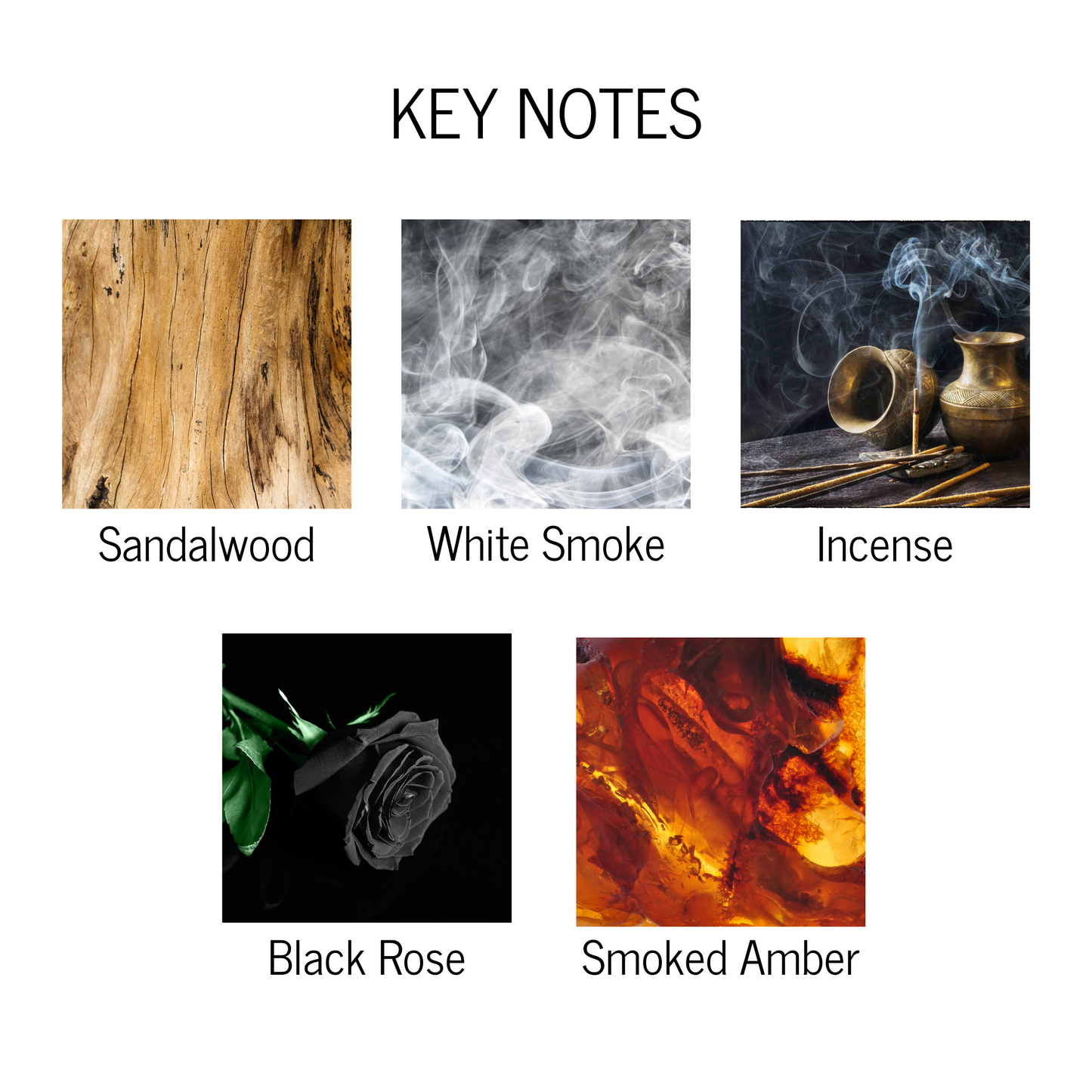 Key notes of sandalwood, white smoke, incense, black rose and smoked amber