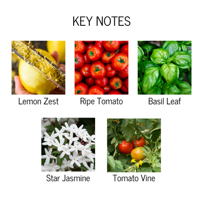 Key notes of lemon zest, ripe tomato, basil leaf, star jasmine and tomato vine.