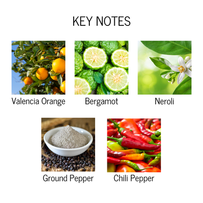 Key notes of valencia orange, bergamot, neroli, ground pepper and chili pepper.