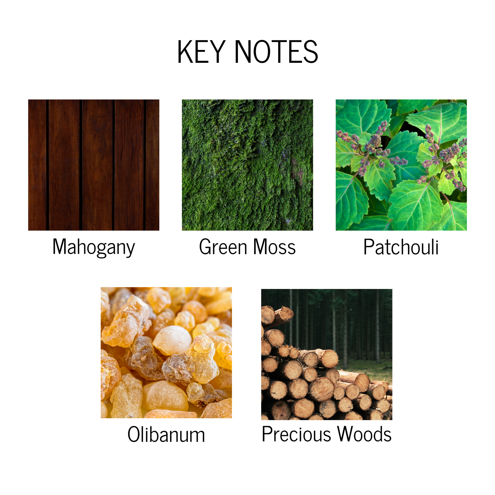 Key notes of mahogany, green moss, patchouli, olibanum and precious woods