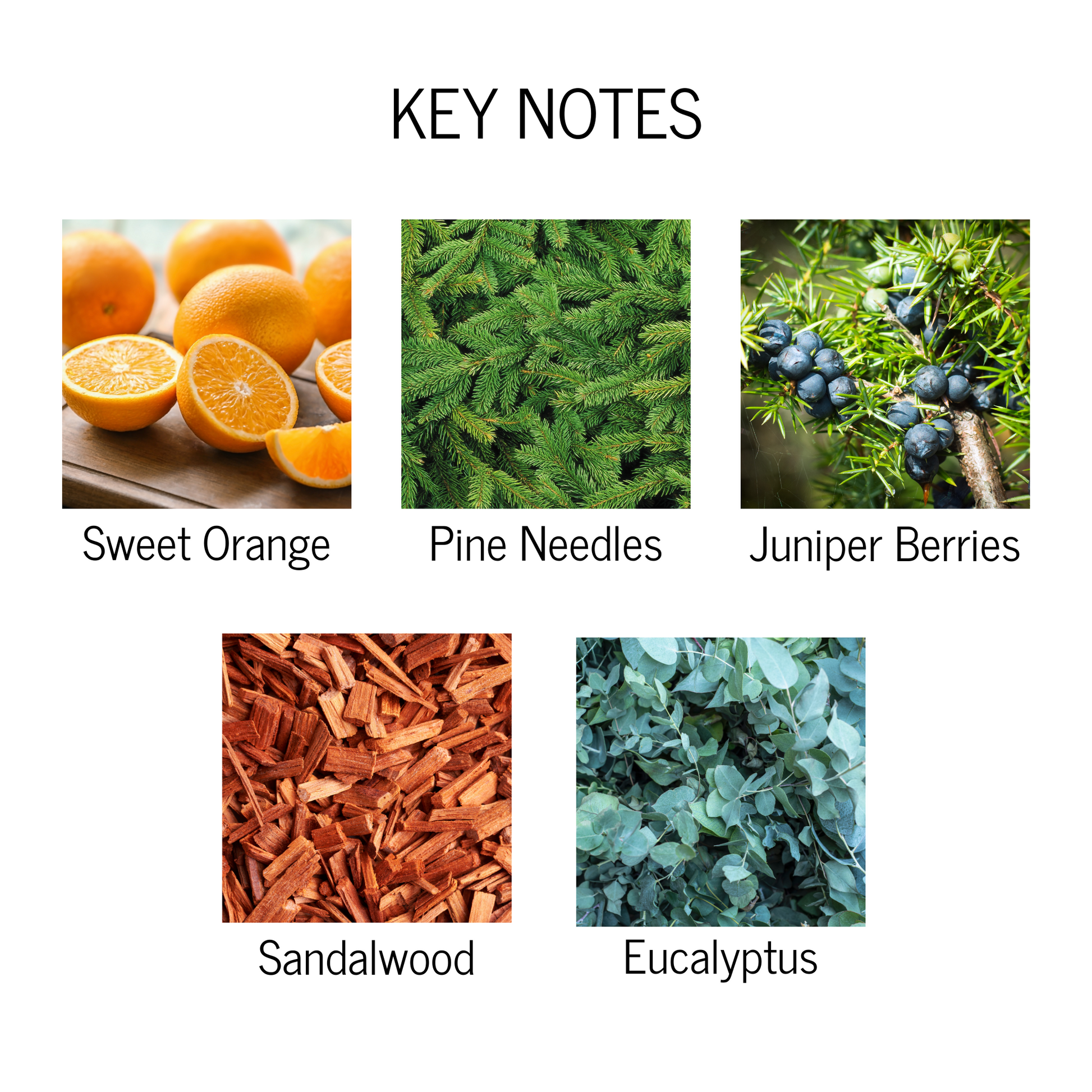 Key notes of sweet orange, pine needles, juniper berries, sandalwood and eucalyptus
