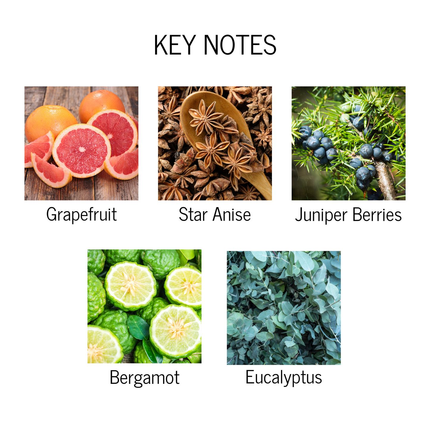 Key notes of grapefruit, star anise, juniper berries, bergamot, and eucalyptus.