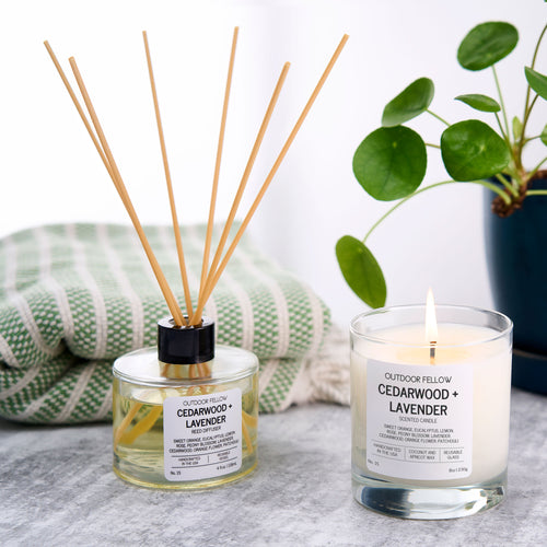 Cedarwood and lavender candle and diffuser with a plant in the background