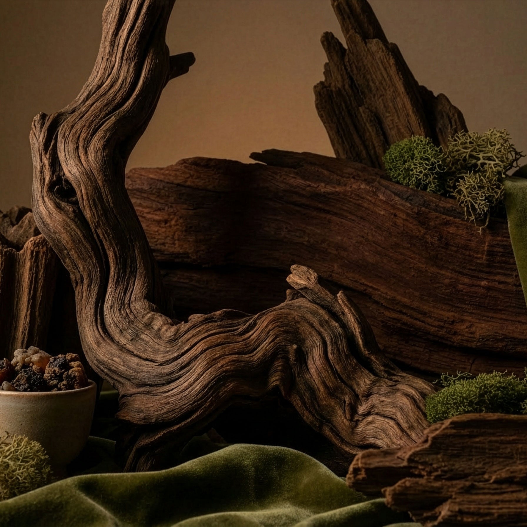 Decorative setup with driftwood, moss, and a green fabric on a brown background