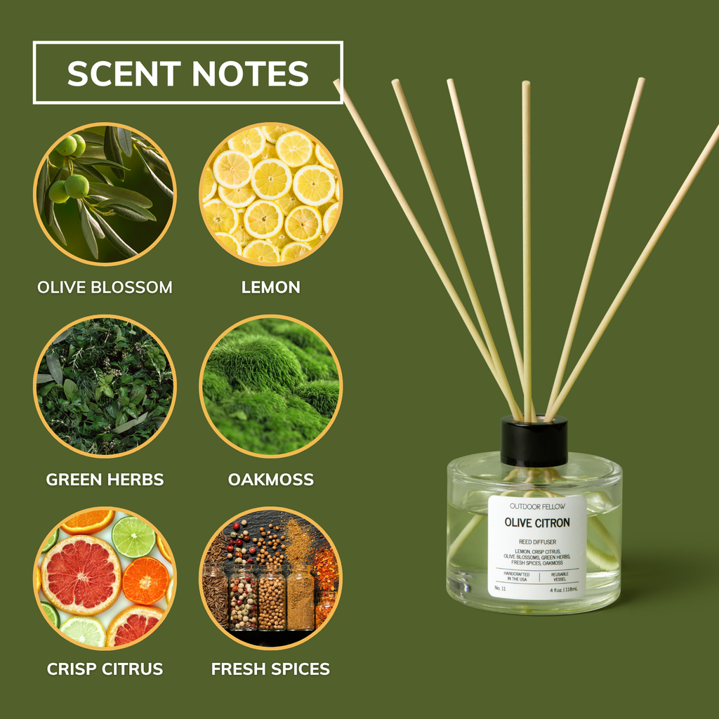 Graphic displaying scent notes of the Outdoor Fellow Olive Citron reed diffuser, including olive blossom, lemon, green herbs, oakmoss, crisp citrus, and fresh spices, alongside an image of the diffuser with reeds on a green background.