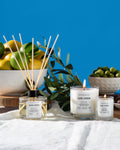 OLIVE CITRON CANDLE & REED DIFFUSER BUNDLE
