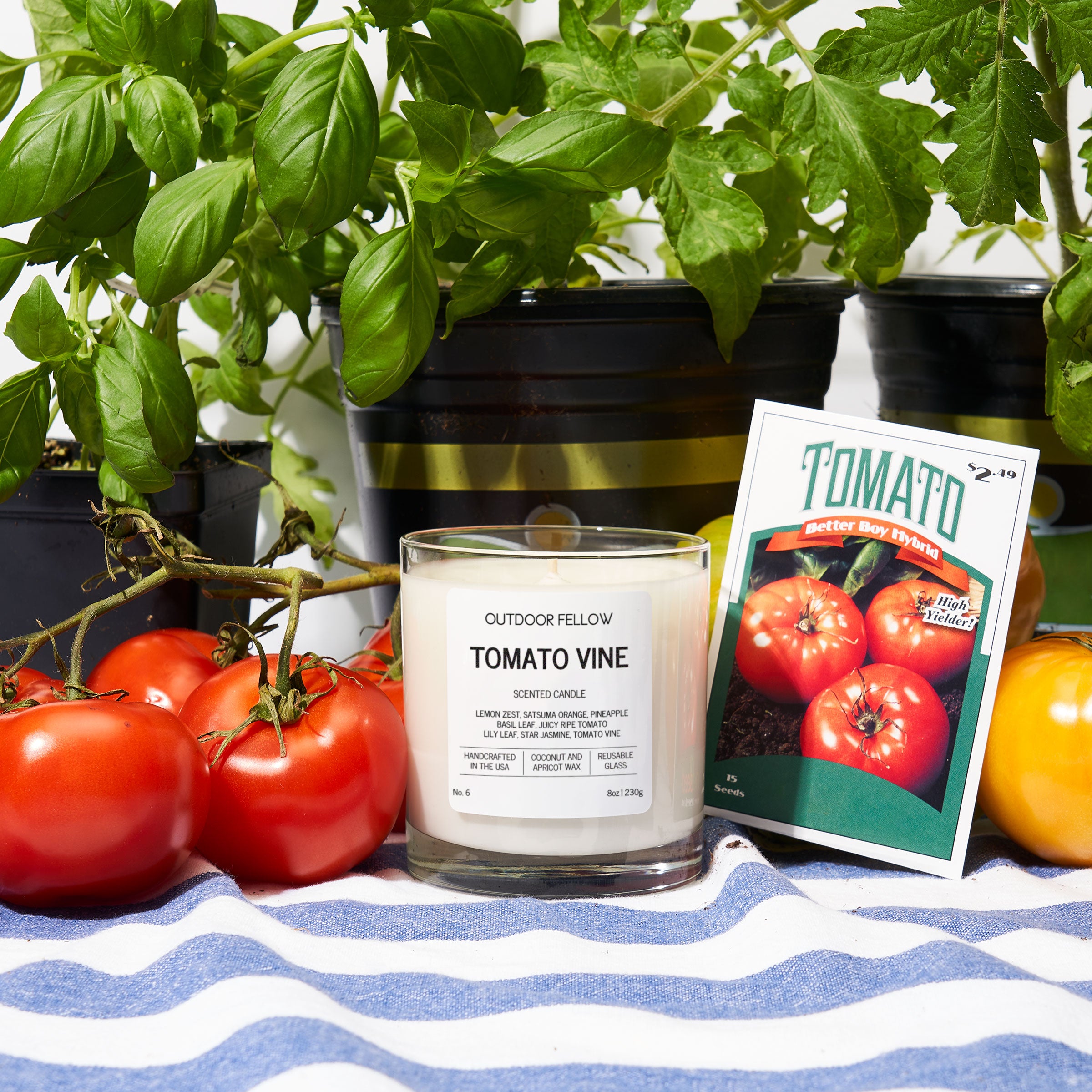 Candle labeled 'Tomato Vine' with tomato plants and seeds on a striped surface