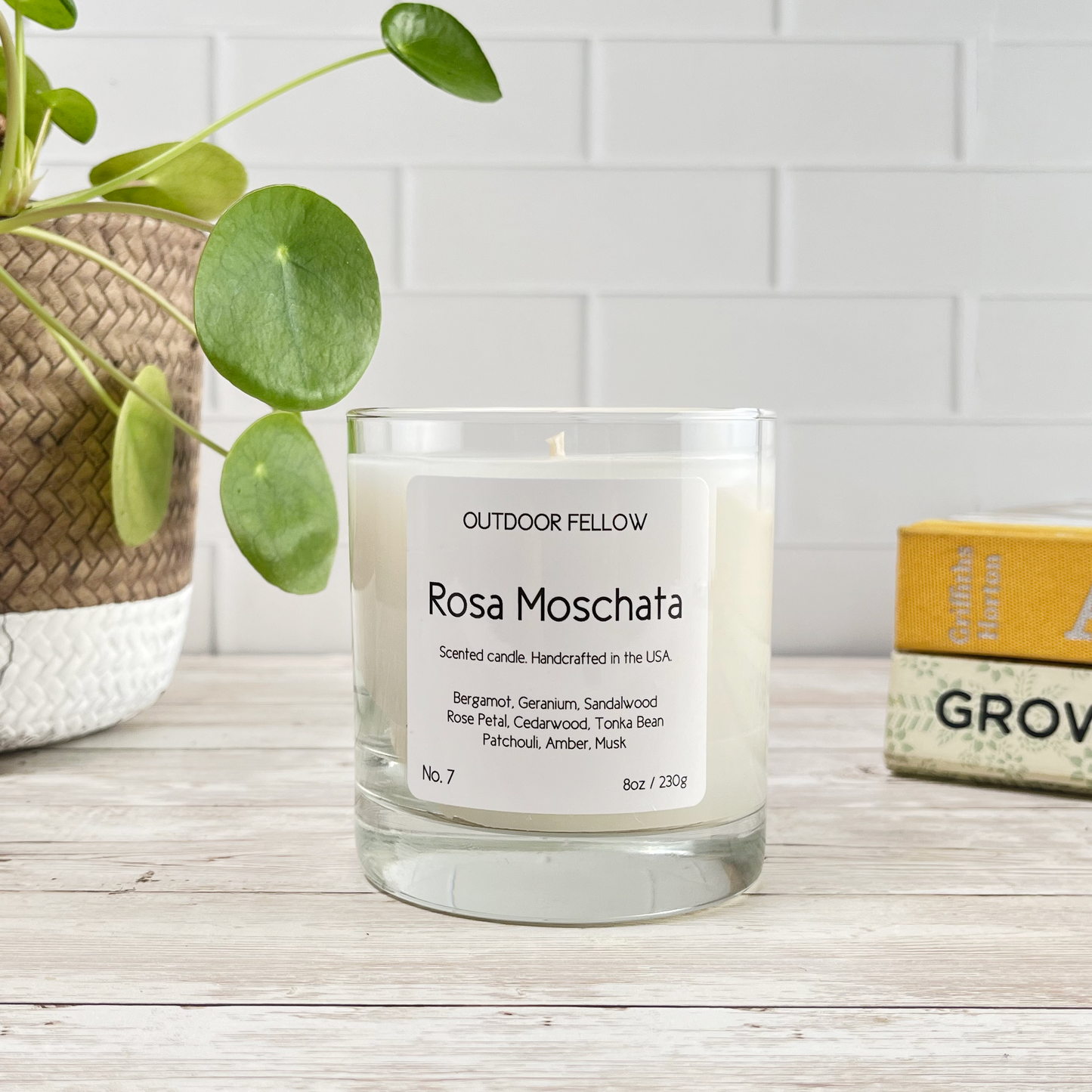 Rosa Moschata scented candle on wood surface in front of a plant and books