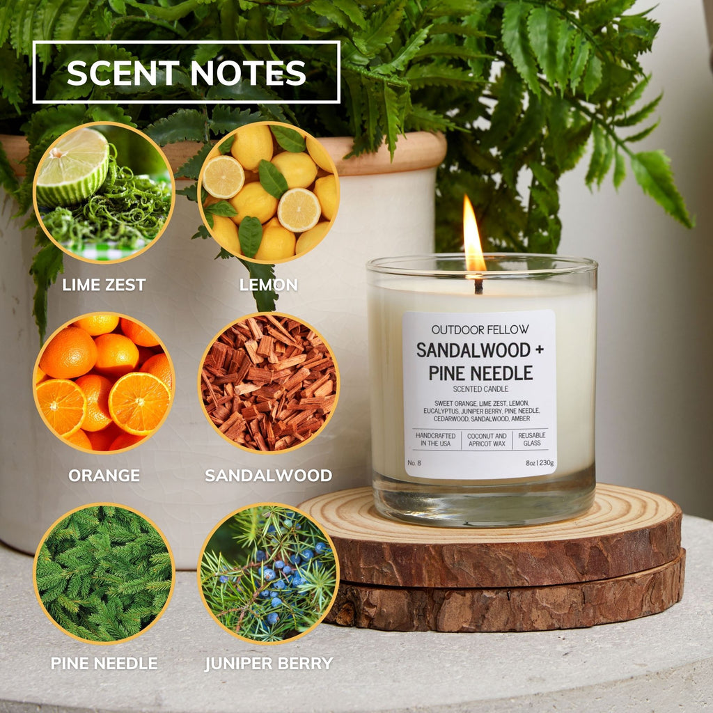 Outdoor Fellow Sandalwood + Pine Needle candle with scent notes: lime, lemon, orange, sandalwood, pine, juniper.