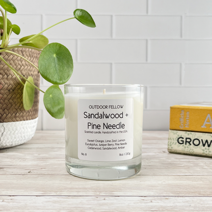 Sandalwood and Pine Needle scented candle on a wood surface in front of a plant and books