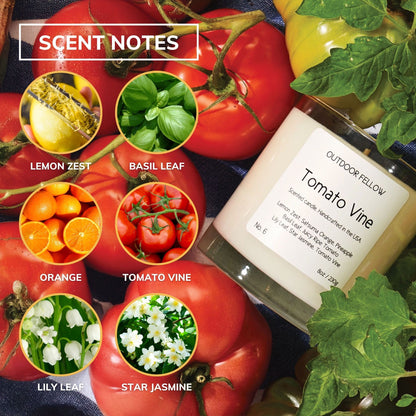 Tomato Vine scent notes include lemon zest, basil leaf, orange, tomato vine, lily leaf ans star jasmine