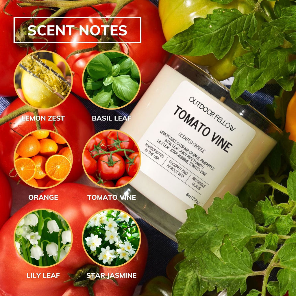 Candle labeled 'Tomato Vine' with scents notes on a background of tomatoes and herbs