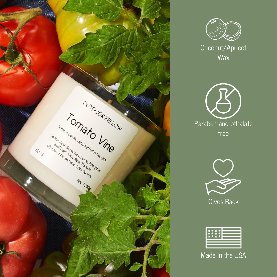 Tomato Vine candle infographic that lists out coconut and apricot wax, paraben and pthalate free, gives back and made in the USA