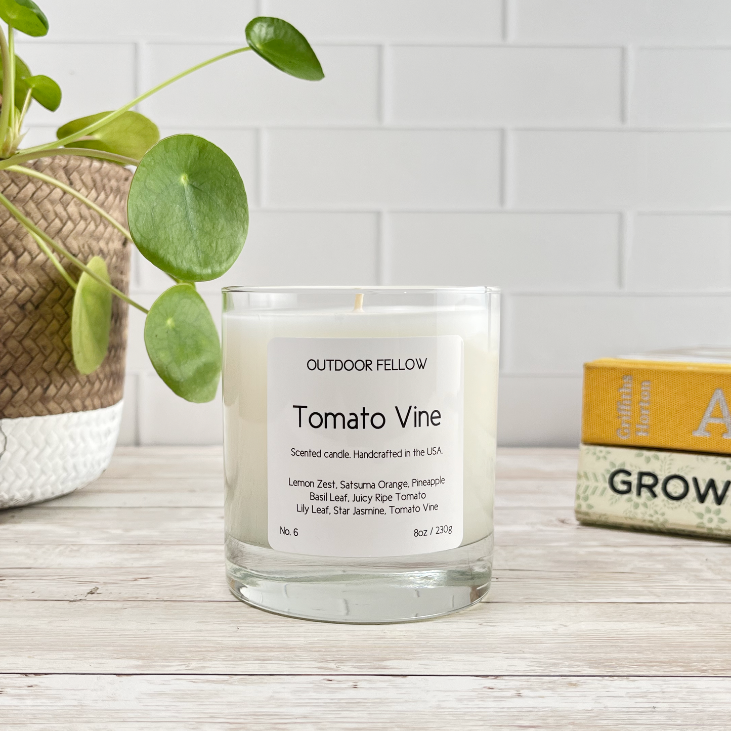 Tomato Vine scented candle on a wood surface in front of a plant and books