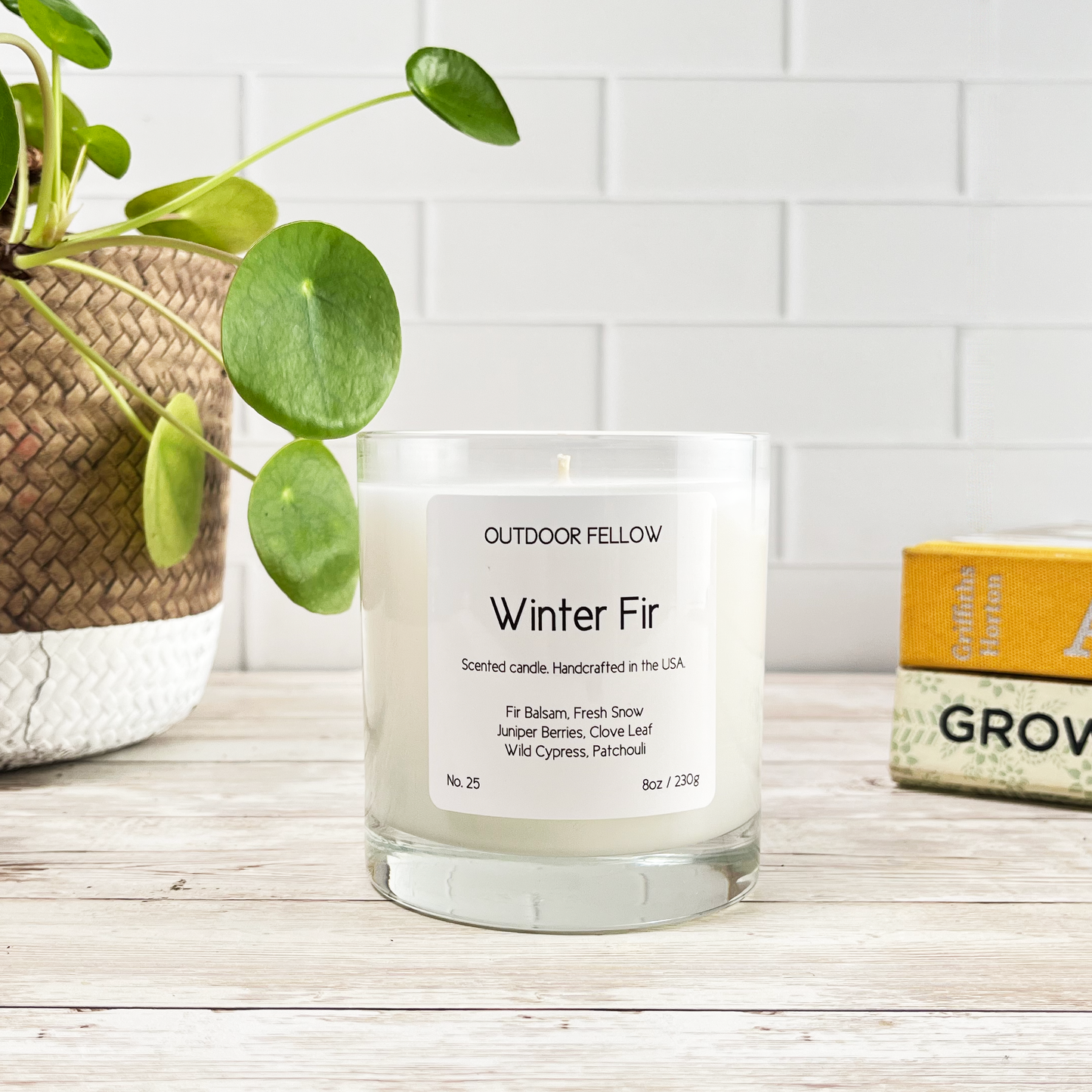 Winter Fir scented candle on a wood surface in front of a plant and books