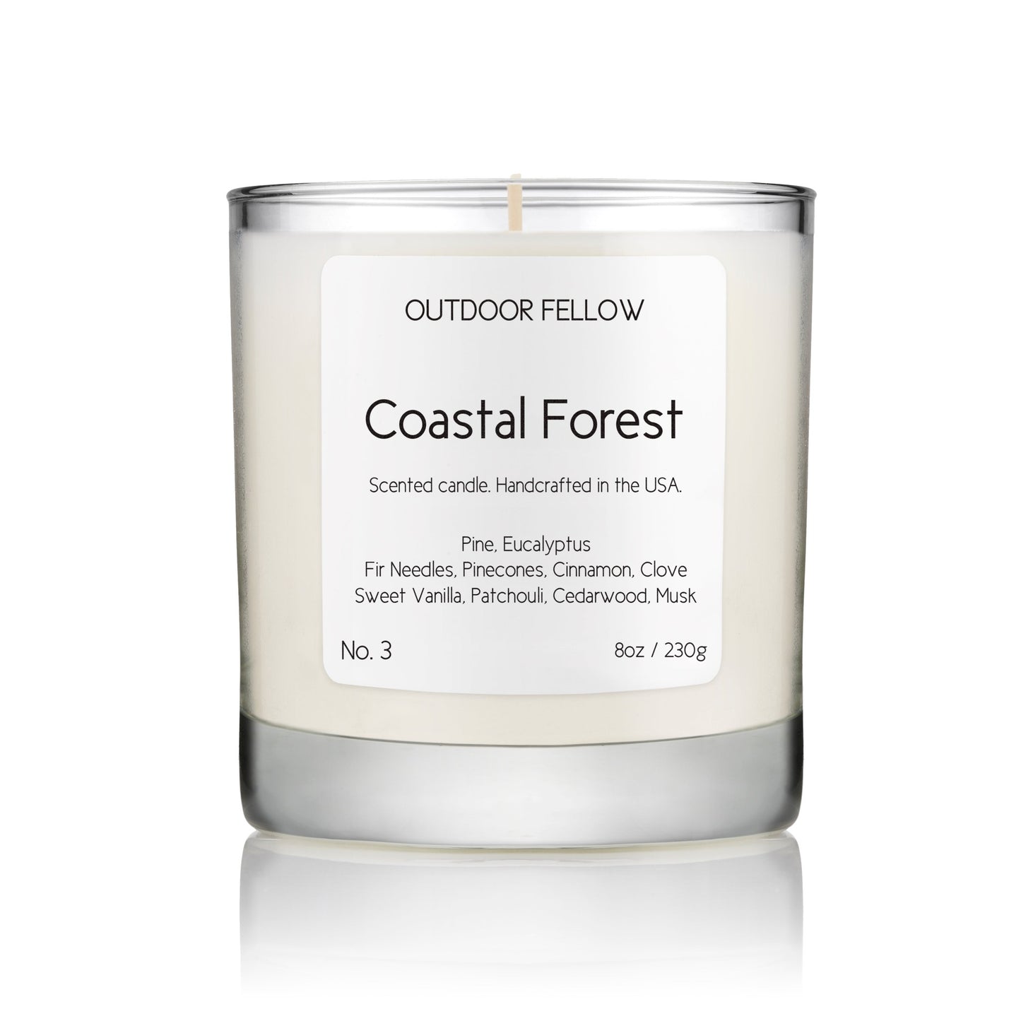 Coastal Forest scented candle on white background