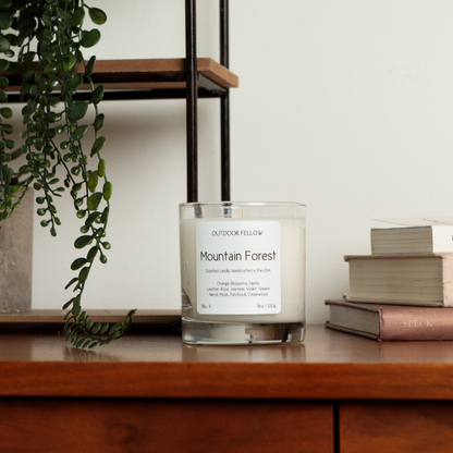 Mountain Forest scented candle on a wooden desk next to books with a plant in the background