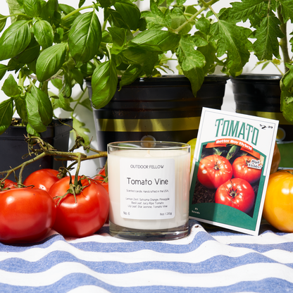 Tomato Vine candle next to a bunch of tomatoes and a packet of tomato seeds
