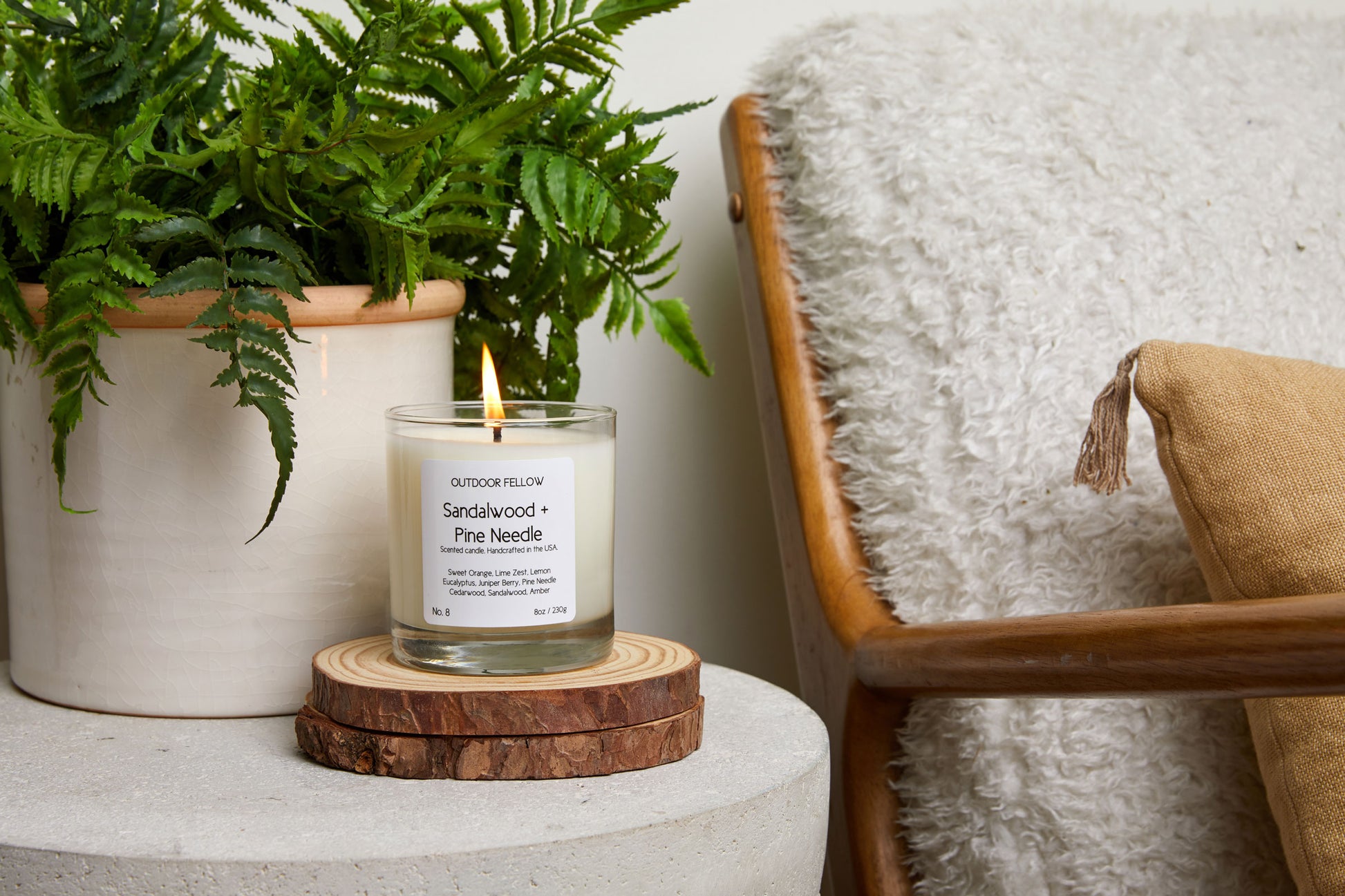Sandalwood + Pine Needle candle on side table in front of a fern