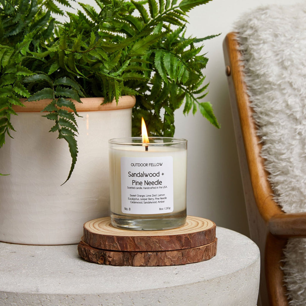 Sandalwood + Pine Needle candle on side table in front of a fern